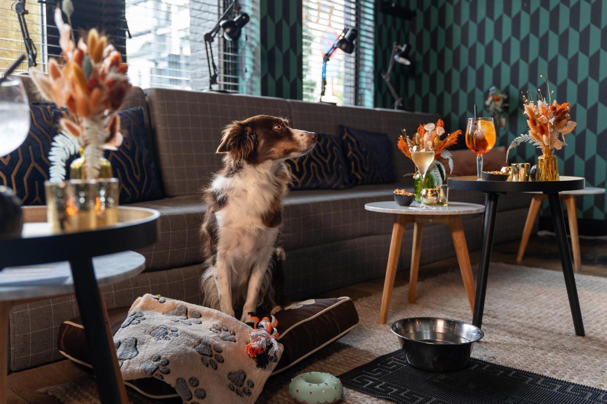 Ibis Styles Hasselt City Centre Exteriér fotografie