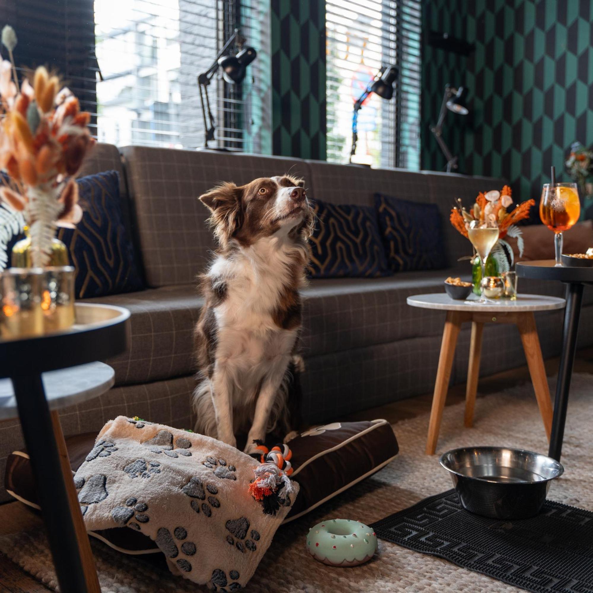 Ibis Styles Hasselt City Centre Exteriér fotografie